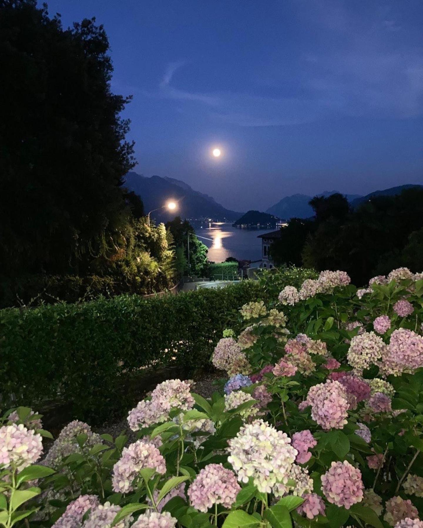 Hotel Loveno Μενάτζιο Εξωτερικό φωτογραφία